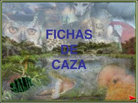 FICHAS DE CAZA SALIR.