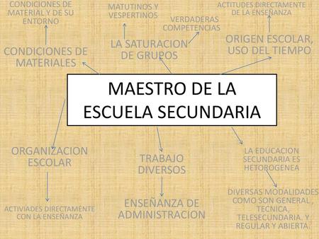 MAESTRO DE LA ESCUELA SECUNDARIA
