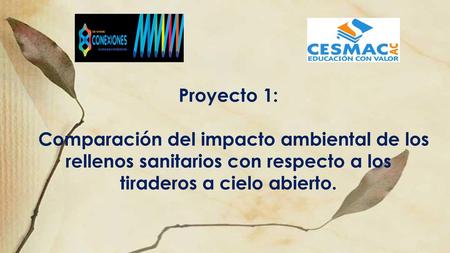 Proyecto 1: Comparación del impacto ambiental de los rellenos sanitarios con respecto a los tiraderos a cielo abierto.