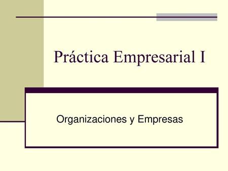Práctica Empresarial I