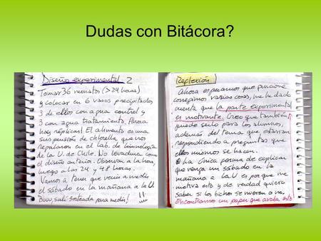 Dudas con Bitácora?. Objetivo de Hoy (17/05) Discutir en torno al significado del concepto “competencia científica” según PISA Discutir el rol del profesor.