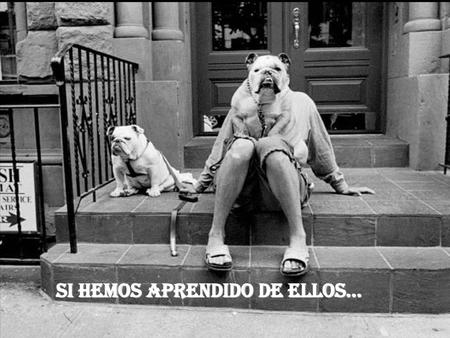 SI Hemos aprendido de ellos…