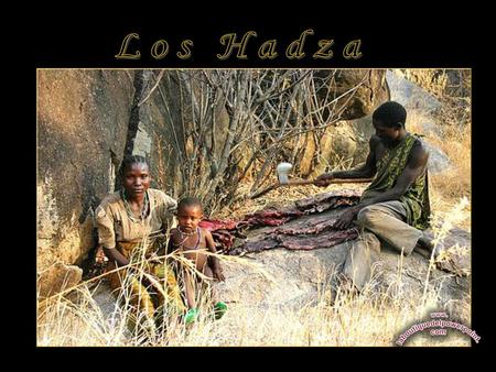 Los Hadza.