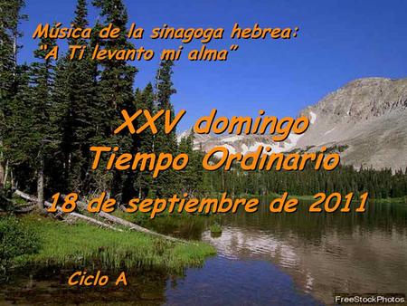XXV domingo Tiempo Ordinario
