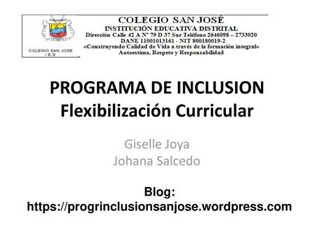 PROGRAMA DE INCLUSION Flexibilización Curricular