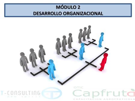 DESARROLLO ORGANIZACIONAL