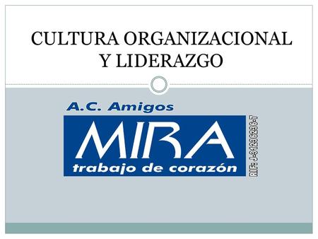 CULTURA ORGANIZACIONAL Y LIDERAZGO