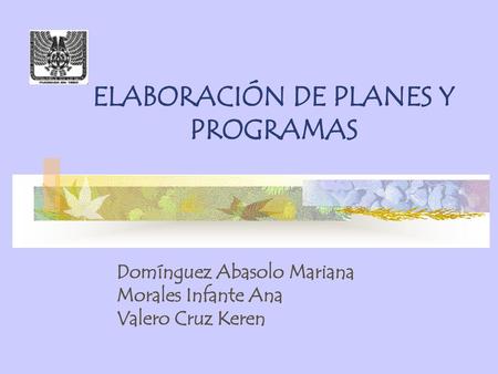 ELABORACIÓN DE PLANES Y PROGRAMAS