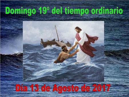 Domingo 19º del tiempo ordinario