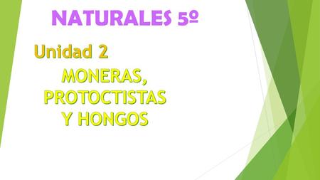 NATURALES 5º Unidad 2 MONERAS, PROTOCTISTAS Y HONGOS.
