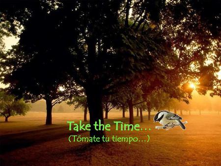 Take the Time… (Tómate tu tiempo…).