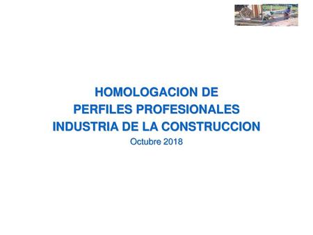 PERFILES PROFESIONALES INDUSTRIA DE LA CONSTRUCCION