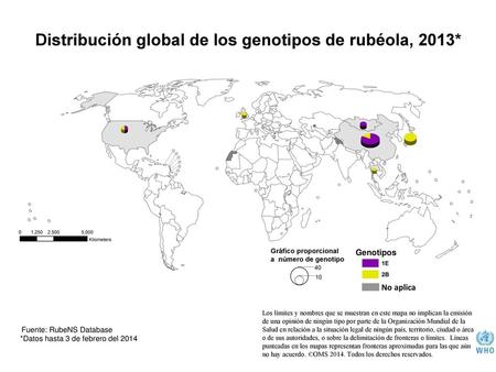 Distribución global de los genotipos de rubéola, 2013*