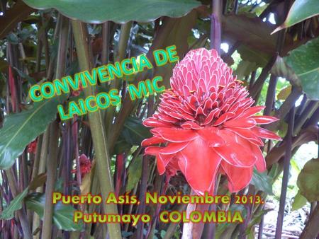 Convivencia de laicos MIC