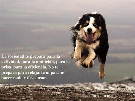 La sociedad te prepara para la actividad, para la ambición, para la prisa, para la eficiencia. No te prepara para relajarte ni para no hacer nada y descansar.