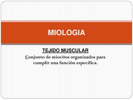 Conjunto de miocitos organizados para cumplir una función específica.