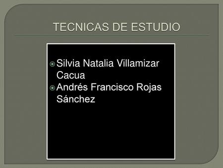 TECNICAS DE ESTUDIO Silvia Natalia Villamizar Cacua