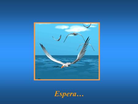 Espera….