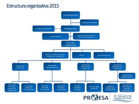 Estructura organizativa 2015