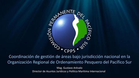 Director de Asuntos Jurídicos y Política Marítima Internacional