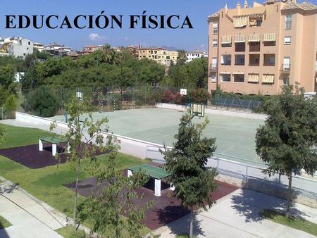 EDUCACIÓN FÍSICA.