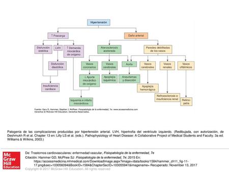 Patogenia de las complicaciones producidas por hipertensión arterial