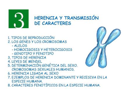 HERENCIA Y TRANSMISIÓN DE CARACTERES