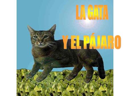 LA GATA Y EL PÁJARO.