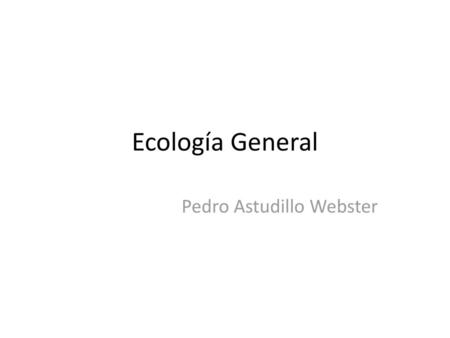 Pedro Astudillo Webster