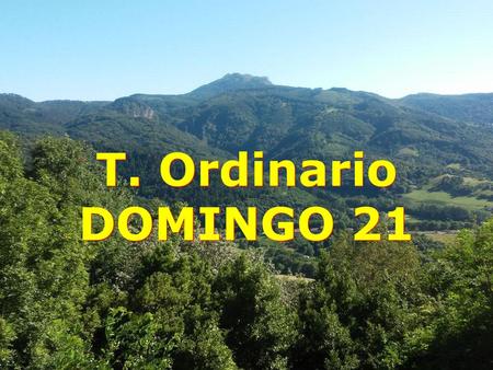 T. Ordinario DOMINGO 21.