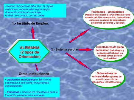 Profesores – Orientadores