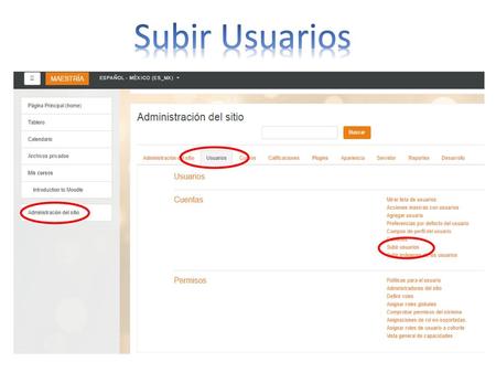 Subir Usuarios.