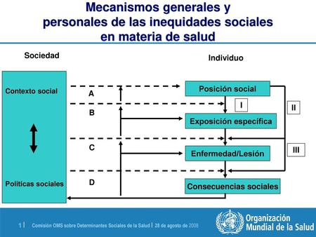 Exposición específica Consecuencias sociales