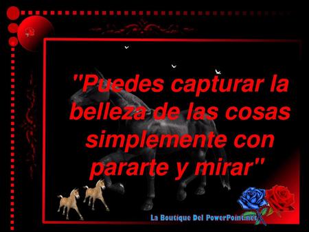 Musica:Instrumental-Caballo Viejo.-