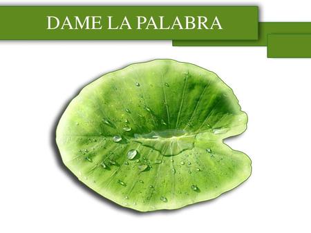 DAME LA PALABRA.