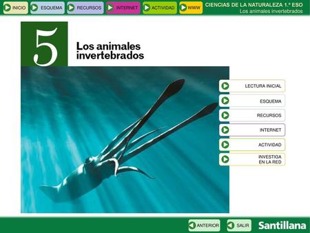 ESQUEMA CIENCIAS DE LA NATURALEZA 1.º ESO Los animales invertebrados