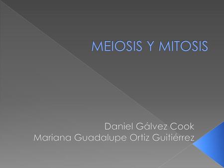 Daniel Gálvez Cook Mariana Guadalupe Ortiz Guitiérrez