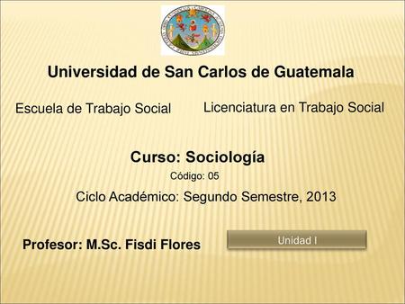 Universidad de San Carlos de Guatemala Profesor: M.Sc. Fisdi Flores