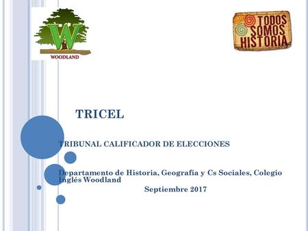 TRICEL TRIBUNAL CALIFICADOR DE ELECCIONES