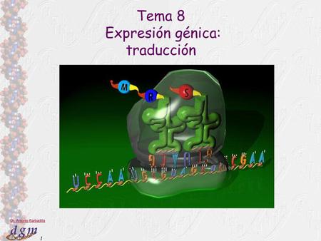 Tema 8 Expresión génica: traducción.