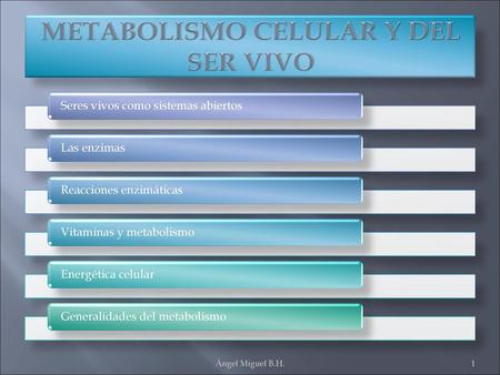 METABOLISMO CELULAR Y DEL SER VIVO