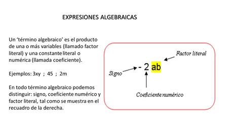Un ‘término algebraico’ es el producto de una o más variables (llamado factor literal) y una constante literal o numérica (llamada coeficiente). Ejemplos: