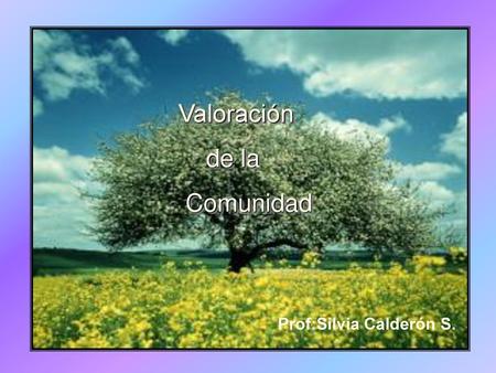 Valoración de la Comunidad Prof:Silvia Calderón S.
