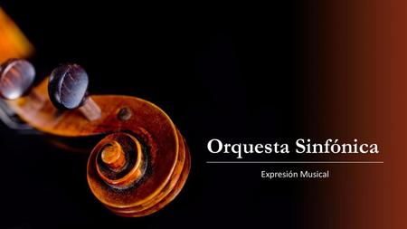 Orquesta Sinfónica Expresión Musical.