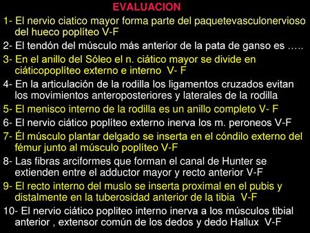 2- El tendón del músculo más anterior de la pata de ganso es …..