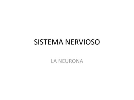 SISTEMA NERVIOSO LA NEURONA.