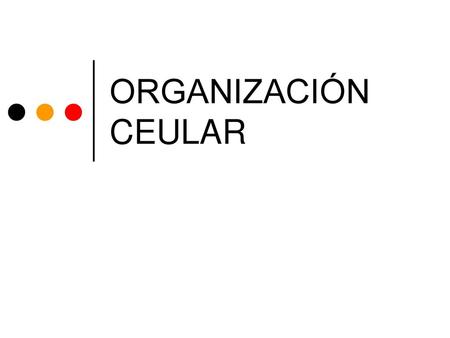 ORGANIZACIÓN CEULAR.