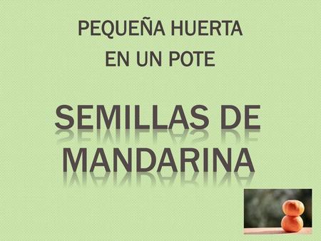 PEQUEÑA HUERTA EN UN POTE