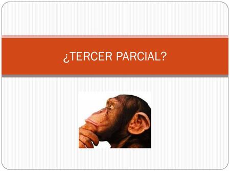 ¿TERCER PARCIAL?.