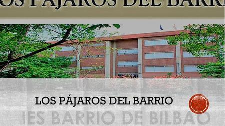 LOS PÁJAROS DEL BARRIO.
